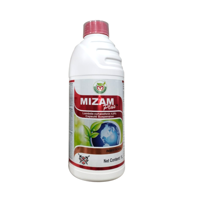 MIZAM PLUS